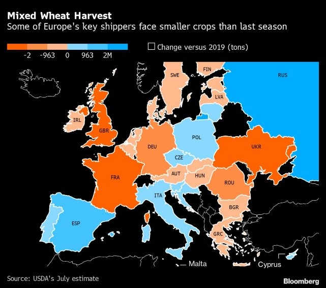 Импортерам пшеницы из ЕС придется искать новых поставщиков