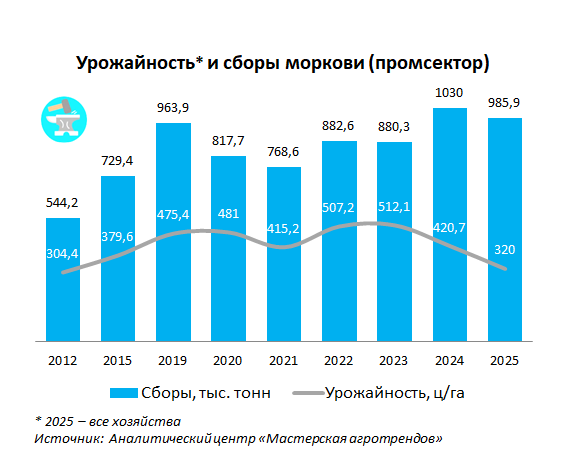 В России собран большой урожай моркови