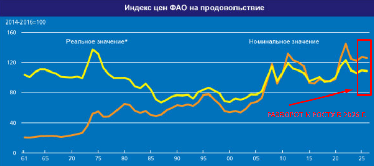 ФАО констатирует продолжение роста цен на продукты